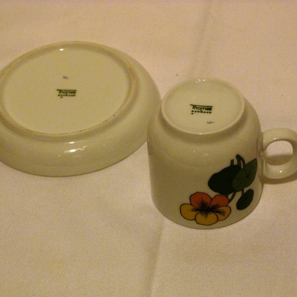Thomas Rosenthal Cup and Saucer Set Made in Germany Scandic Nasturtium Pattern - Picture 7 of 8